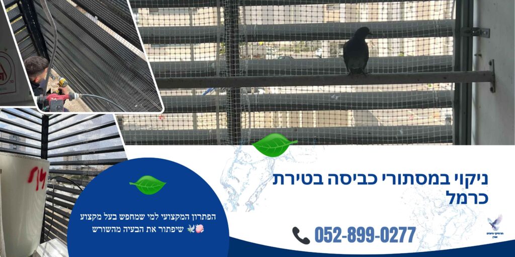 ניקוי במסתורי כביסה בטירת כרמל