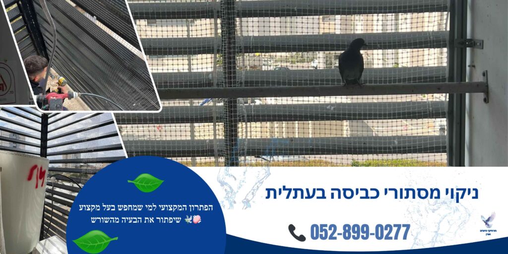 ניקוי מסתורי כביסה בעתלית