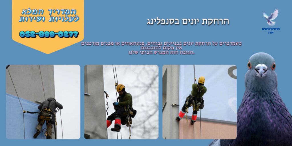 הרחקת יונים בסנפלינג