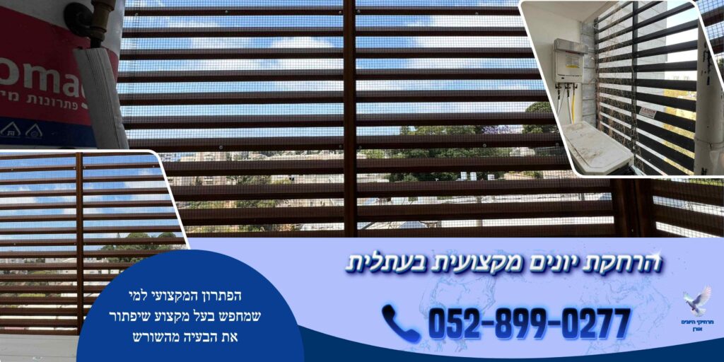 הרחקת יונים מקצועית בעתלית