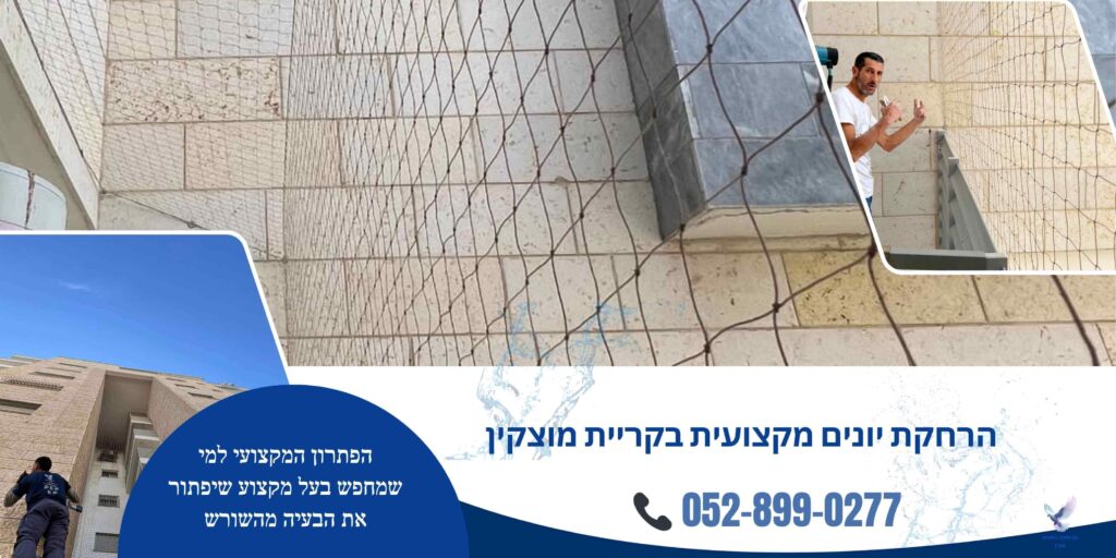 הרחקת יונים מקצועית בקריית מוצקין