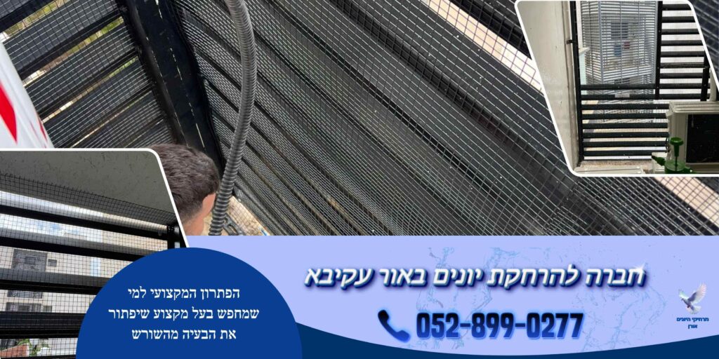 חברה להרחקת יונים באור עקיבא