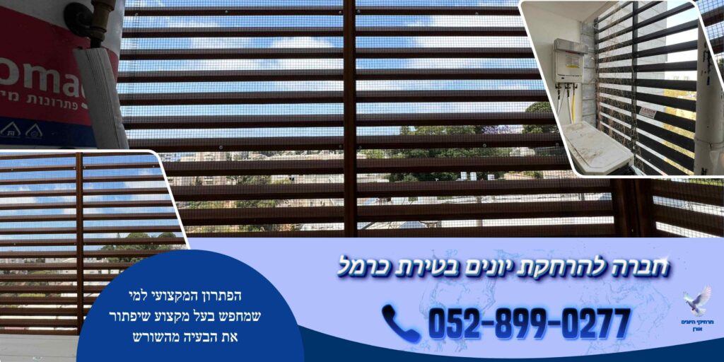 חברה להרחקת יונים בטירת כרמל