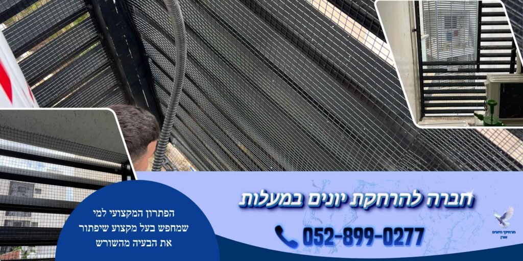 חברה להרחקת יונים במעלות