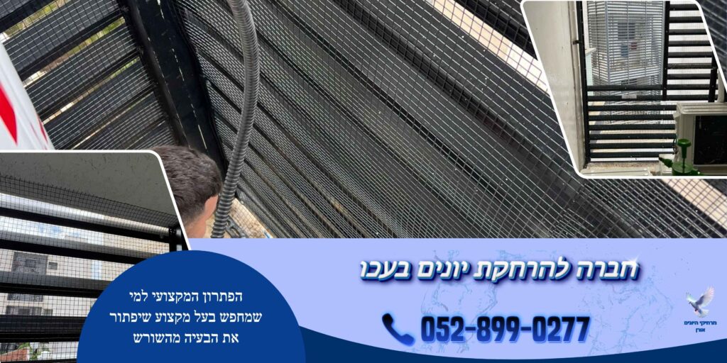 חברה להרחקת יונים בעכו