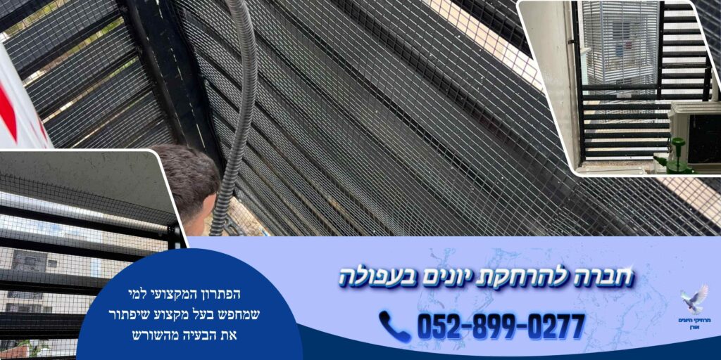 חברה להרחקת יונים בעפולה 