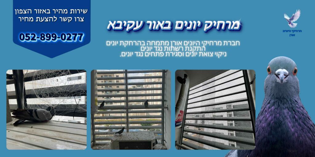 מרחיק יונים באור עקיבא