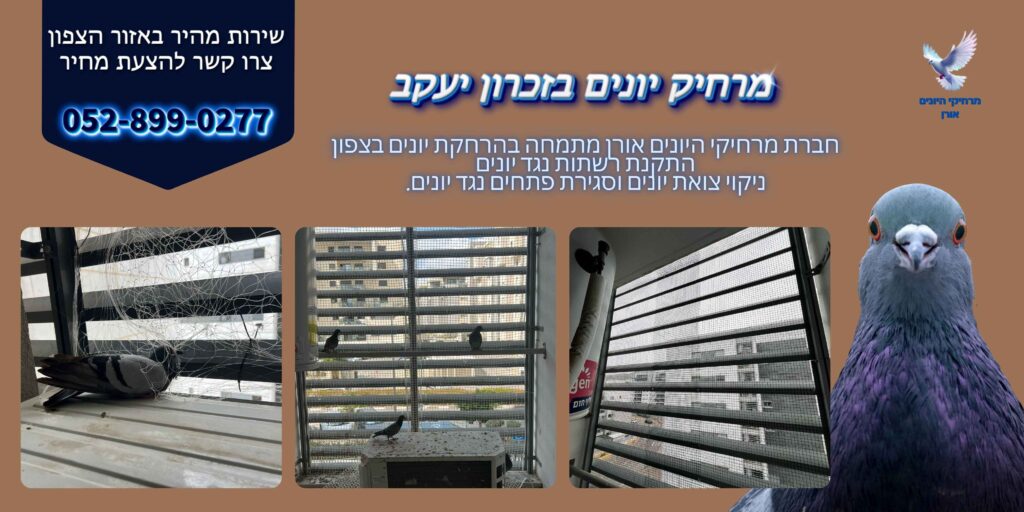 מרחיק יונים בזכרון יעקב