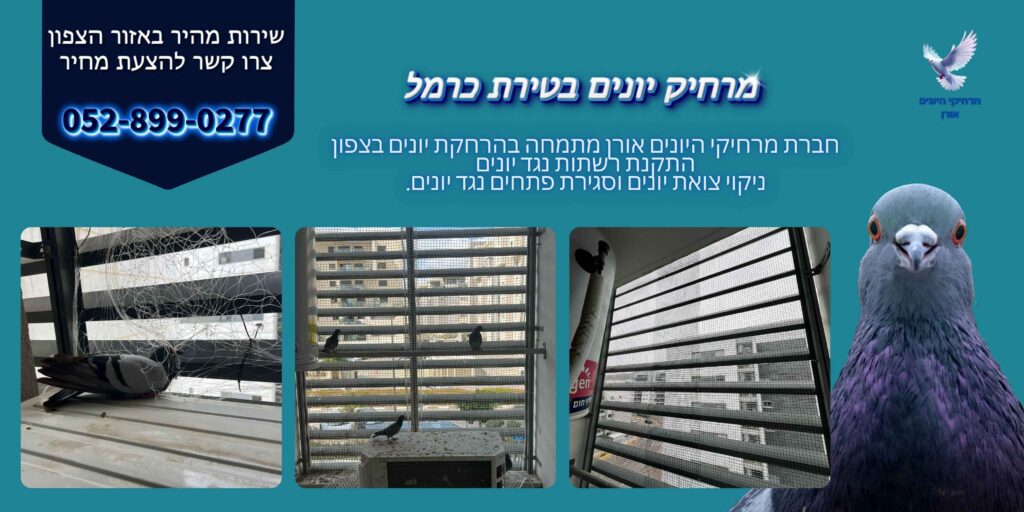 מרחיק יונים בטירת כרמל