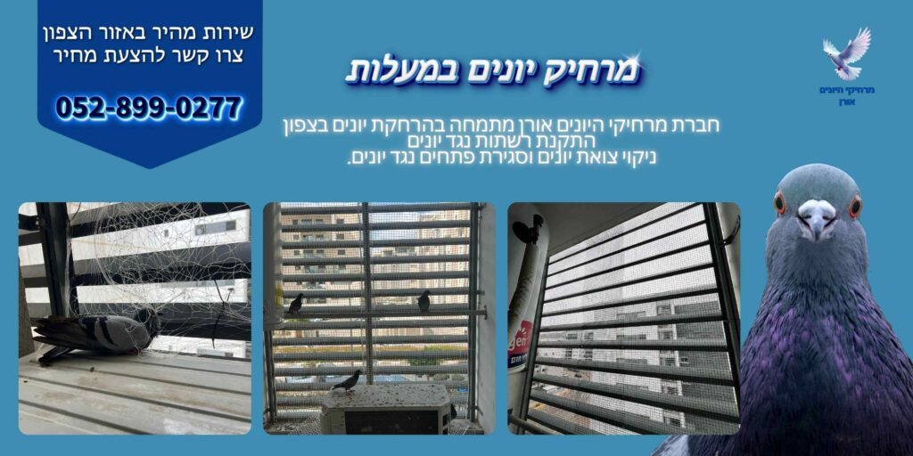 מרחיק יונים במעלות