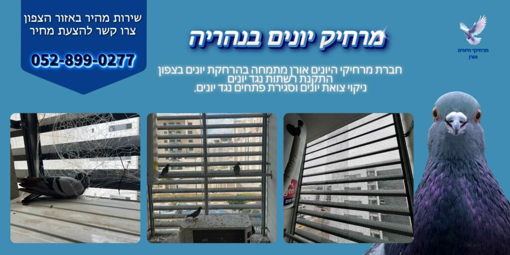 מרחיק יונים בנהריה