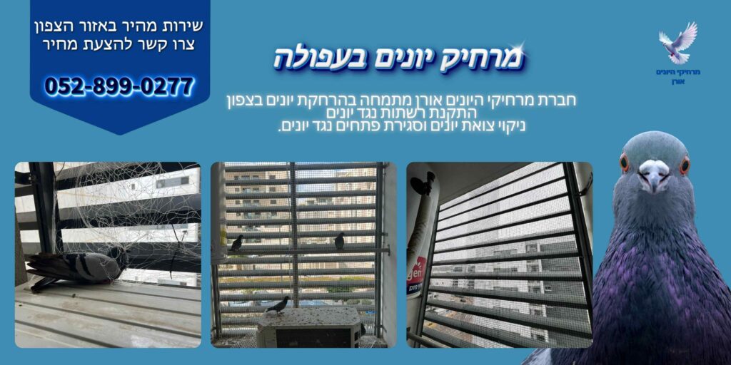 מרחיק יונים בעפולה