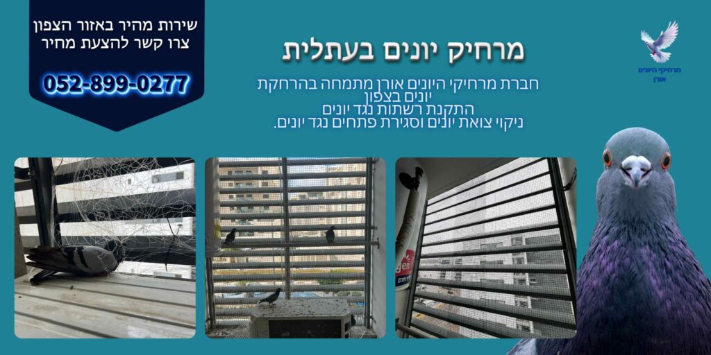 מרחיק יונים בעתלית