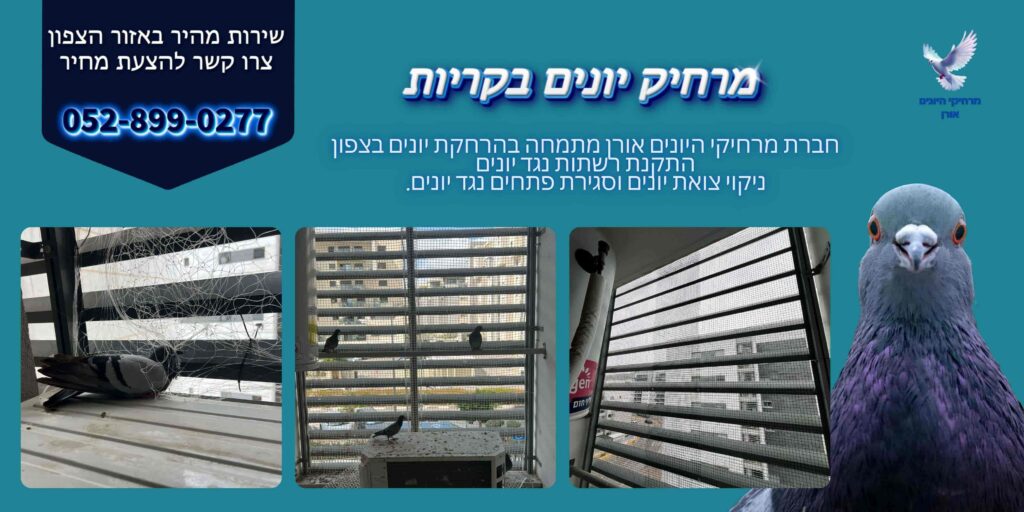 מרחיק יונים בקריות