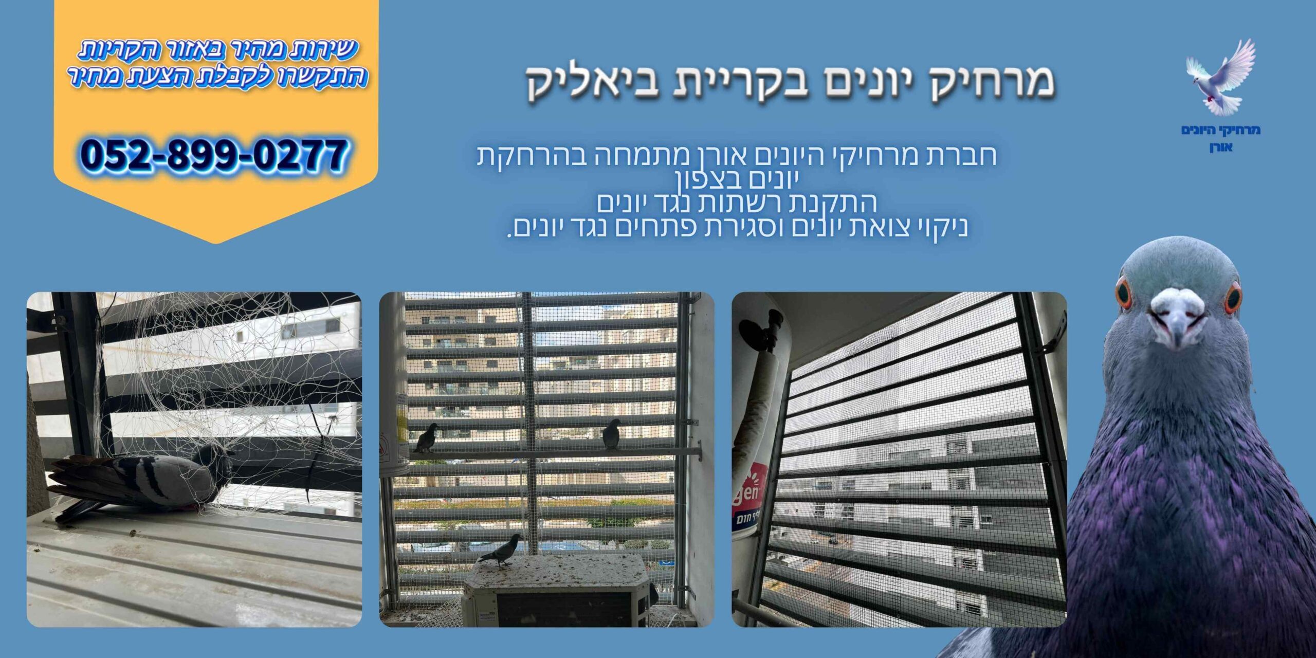 מרחיק יונים בקריית ביאליק