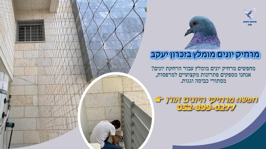 מרחיק יונים מומלץ בזכרון יעקב