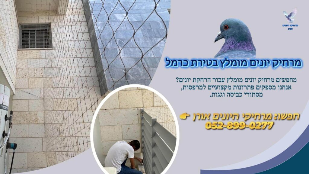 מרחיק יונים מומלץ בטירת כרמל