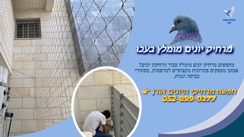 מרחיק יונים מומלץ בעכו