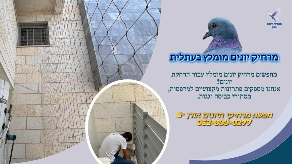 מרחיק יונים מומלץ בעתלית