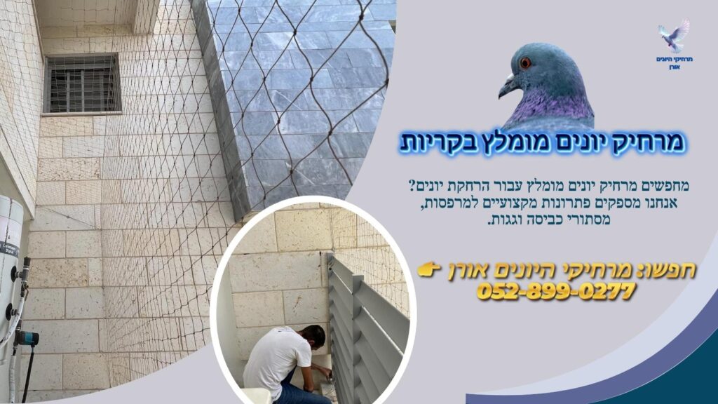 מרחיק יונים מומלץ בקריות