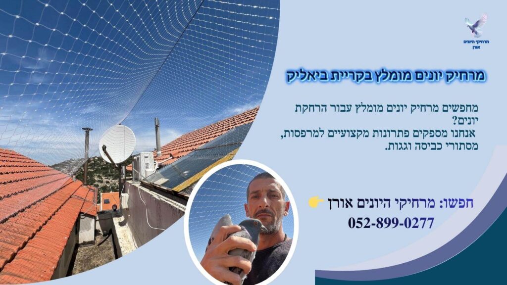 מרחיק יונים מומלץ בקריית ביאליק