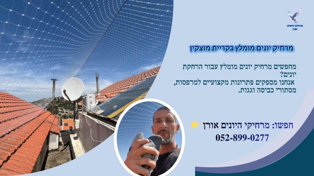 מרחיק יונים מומלץ בקריית מוצקין