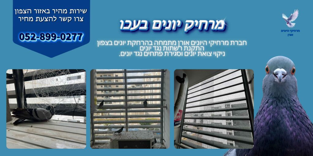 עכו מרחיק יונים