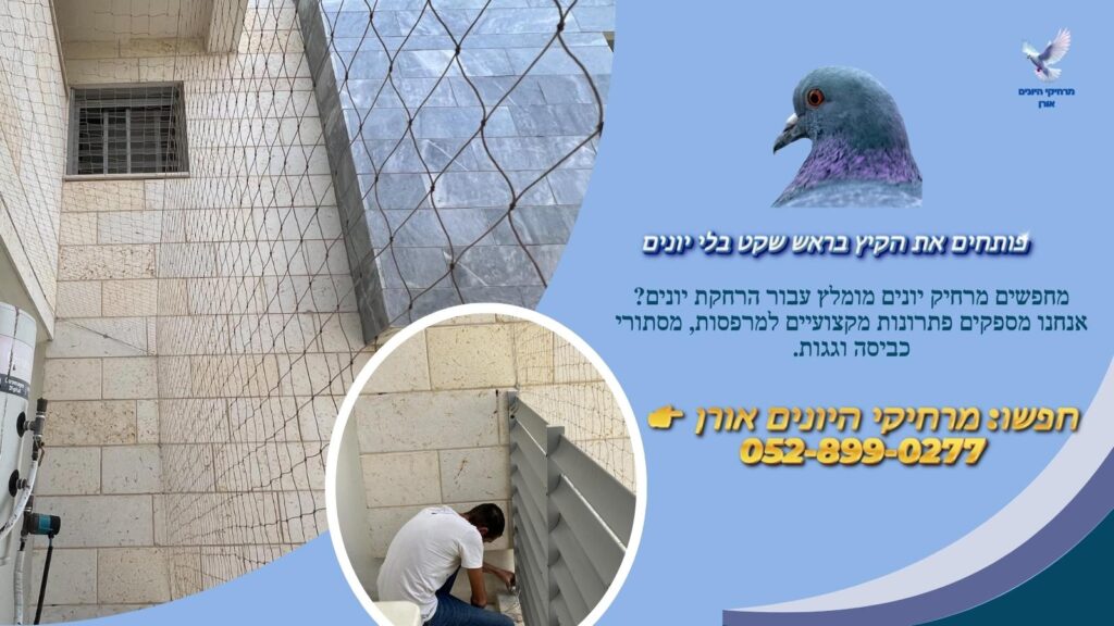 פותחים את הקיץ בראש שקט בלי יונים