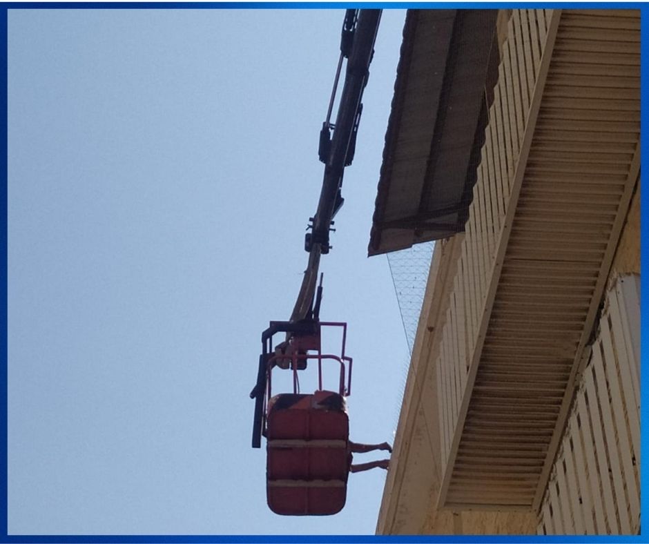הרחקת יונים עם מנופי סל מתקדמים