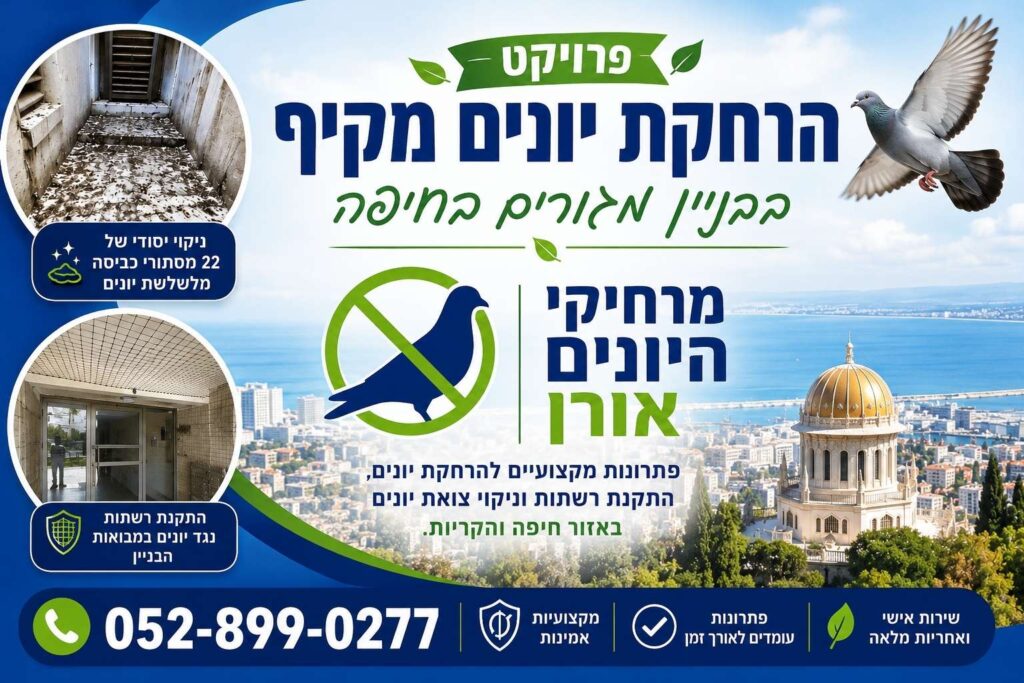 הרחקת יונים פרויקט צלפים 22 בחיפה