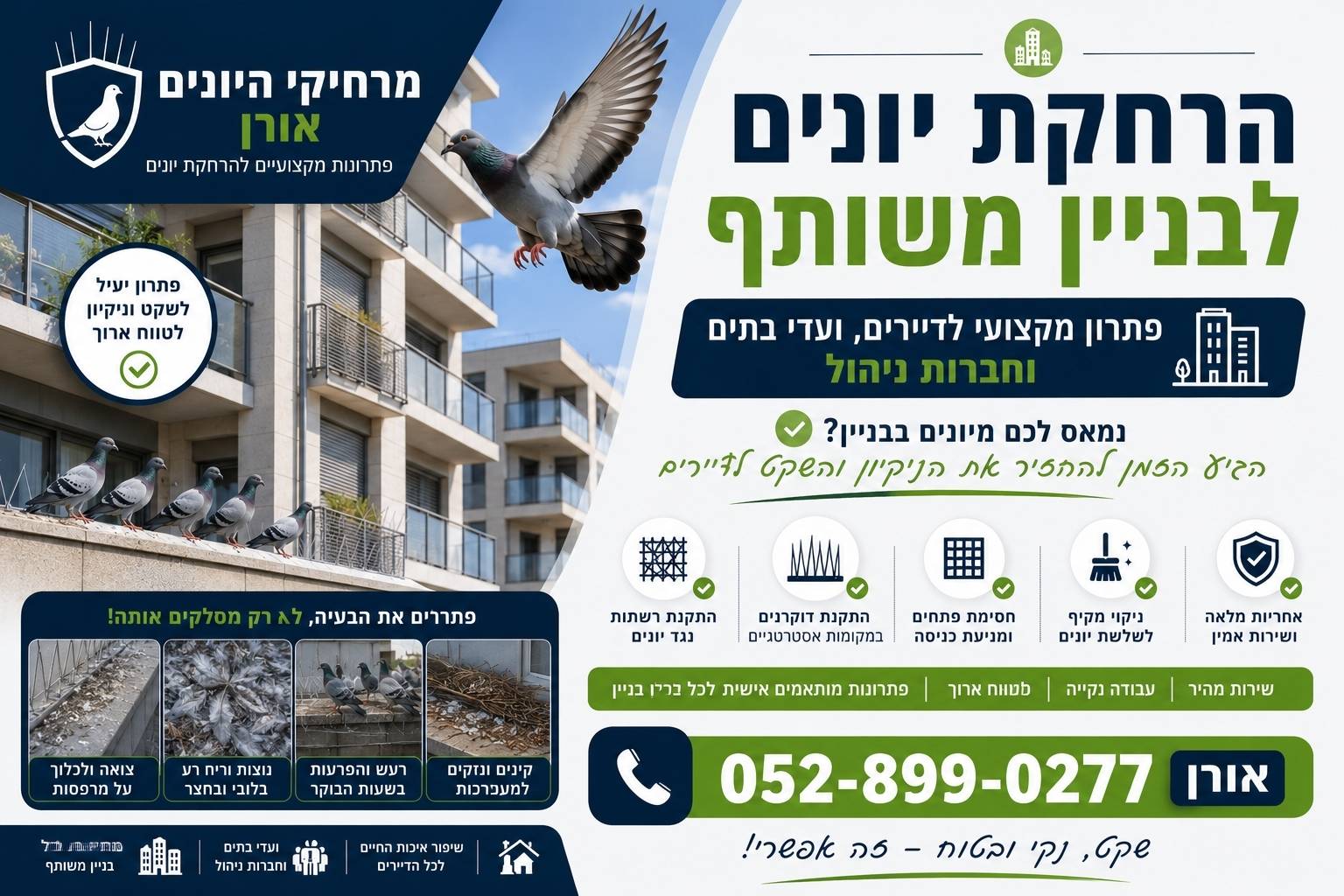 יונים אצל השכנים — מה עושים כשהמטרד מגיע ממרפסת אחרת יונים אצל השכנים - הרחקת יונים בבניין משותף