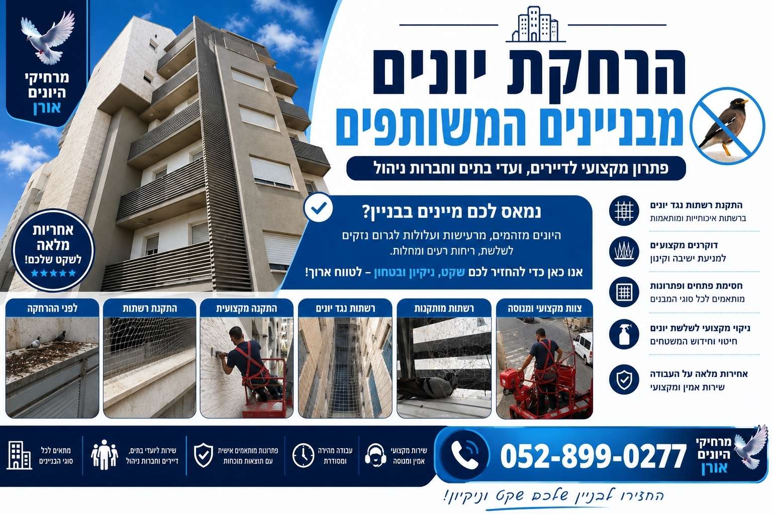 האכלת יונים — למה זה יוצר את המטרד וכיצד עוצרים אותו האכלת יונים בבניין מגורים והמטרד שנוצר בעקבותיה