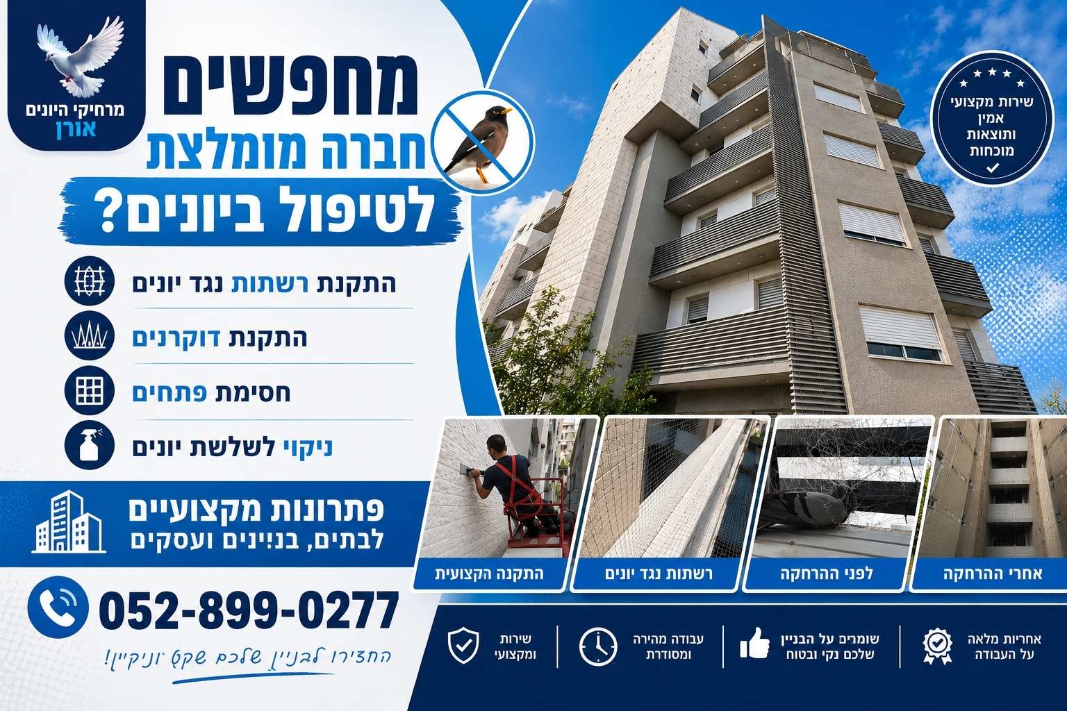 טיפול מקצועי במטרד יונים וניקוי צואה