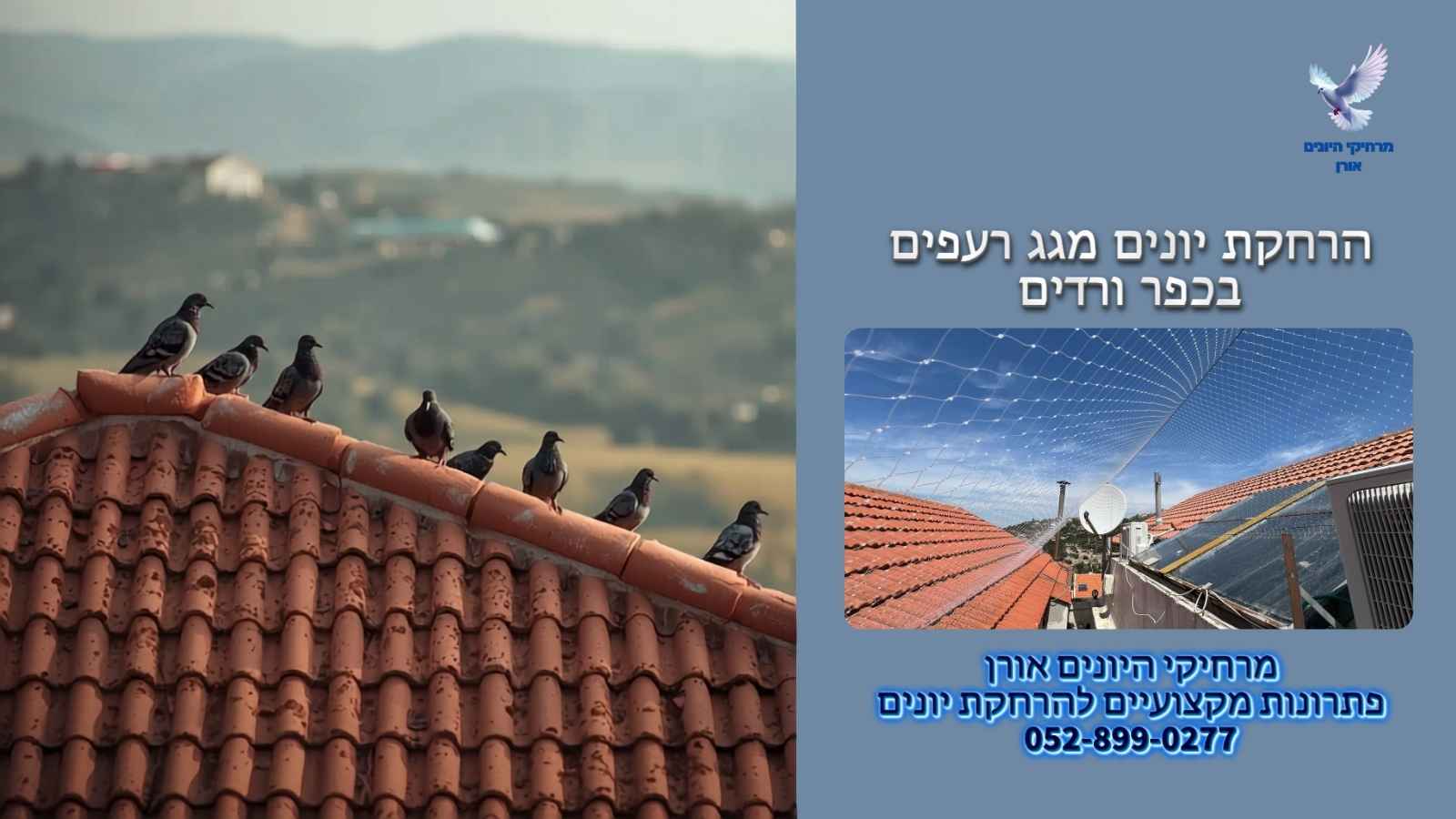 הרחקת יונים מגג רעפים וסגירת פתחים בחלל הגג