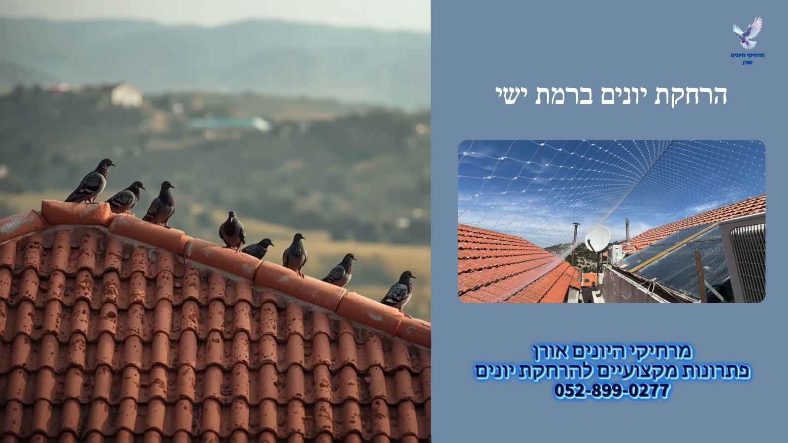 רשת מגולוונת מקצועית להרחקת יונים על גג, פתרון פיזי שמחזיק לאורך זמן