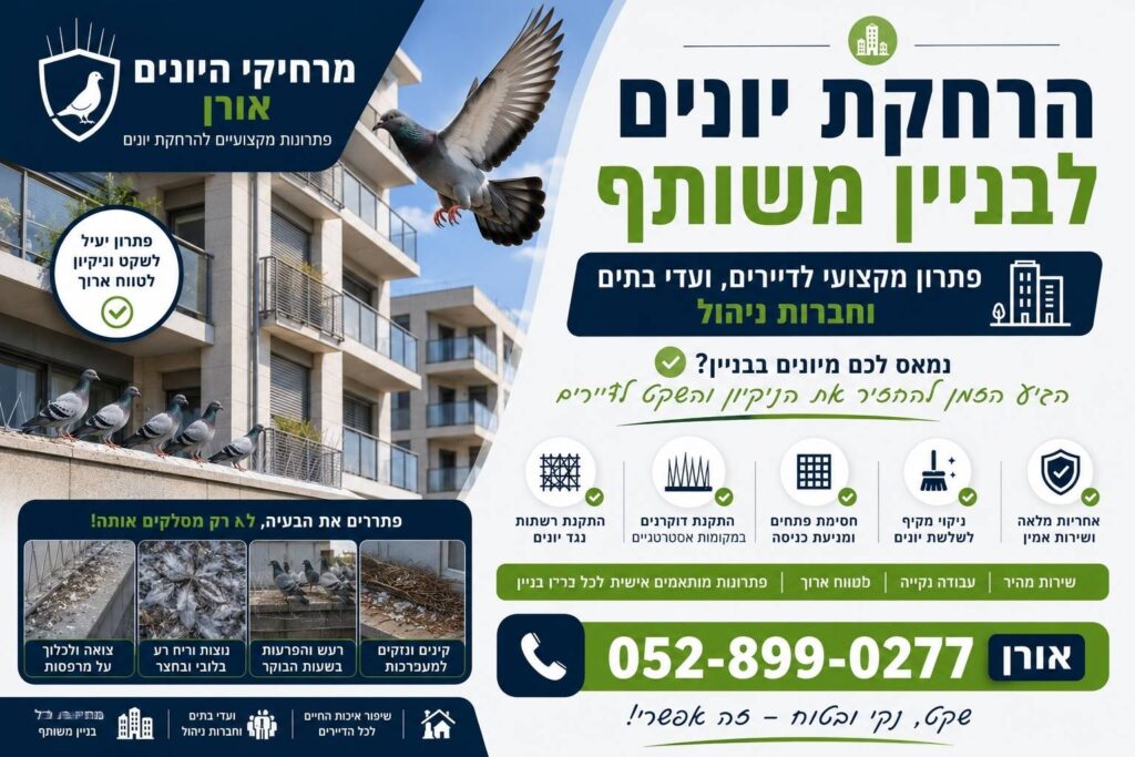 הרחקת יונים לבניין משותף