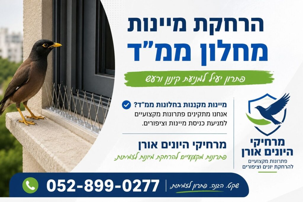הרחקת מיינות