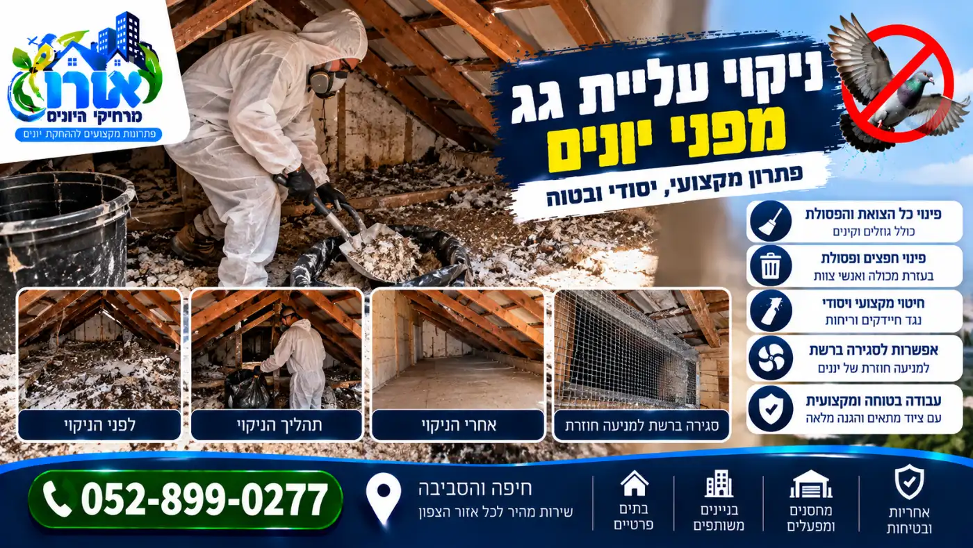 ניקוי עליית גג מצואת יונים בחליפת מגן וסגירה ברשת למניעת חזרת יונים