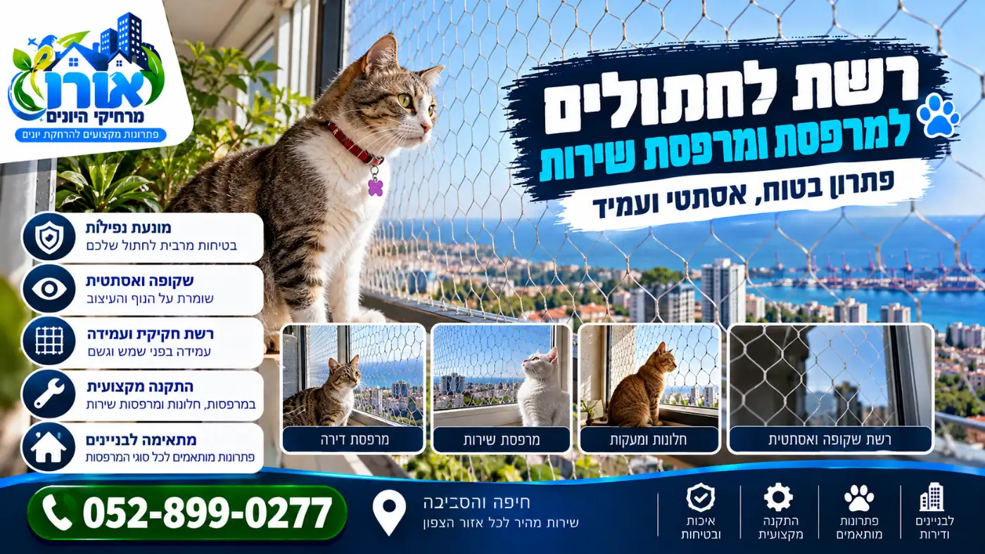 חתול על מעקה מרפסת מאחורי רשת בטיחות שקופה לחתולים – רשת לחתולים למרפסת ומרפסת שירות
