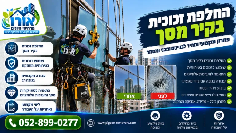 החלפת זכוכית בקיר מסך בסנפלינג – זכוכית שבורה לפני ואחרי