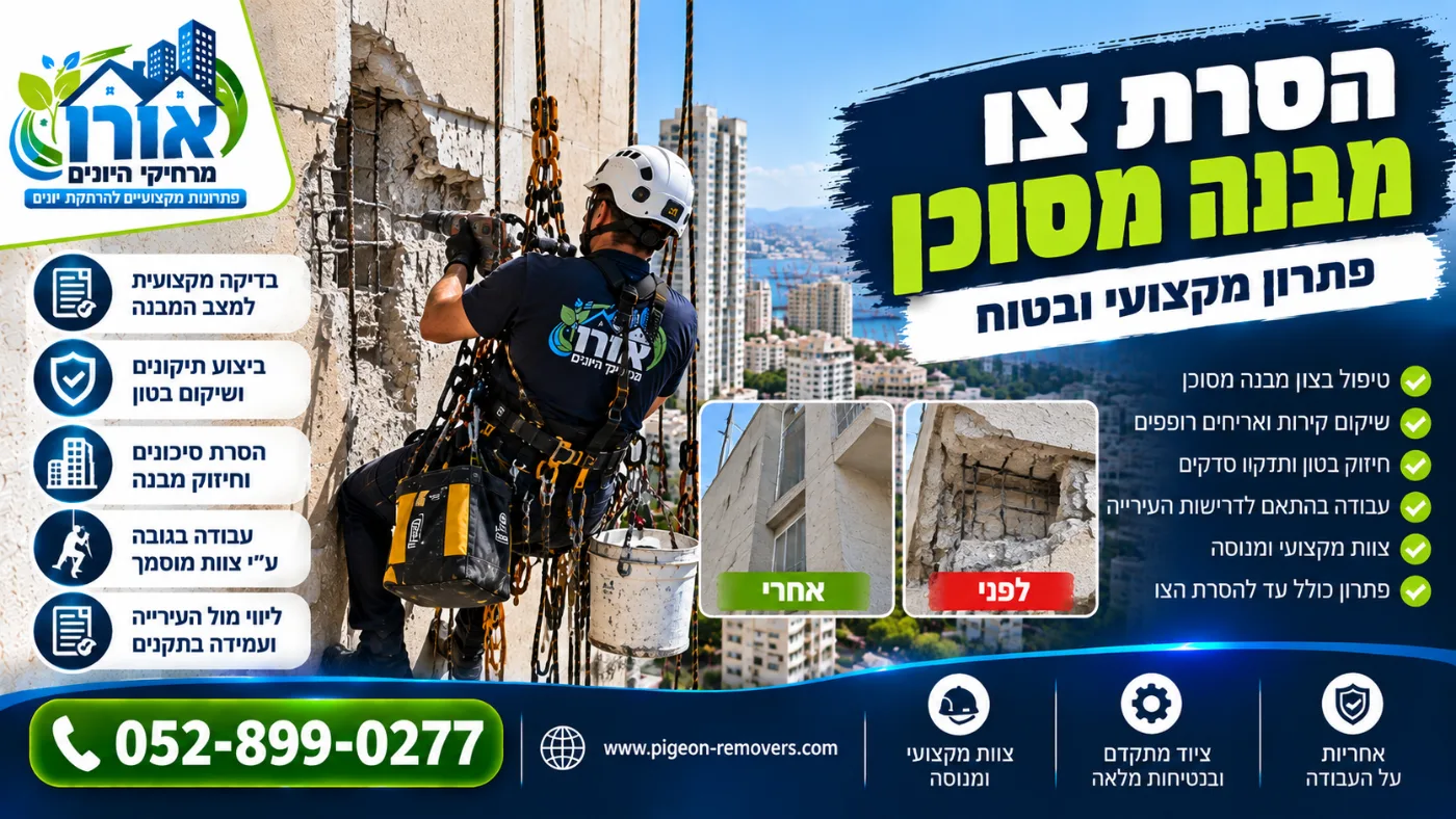 הסרת צו מבנה מסוכן – שיקום בטון וחיזוק מבנה בסנפלינג, לפני ואחרי