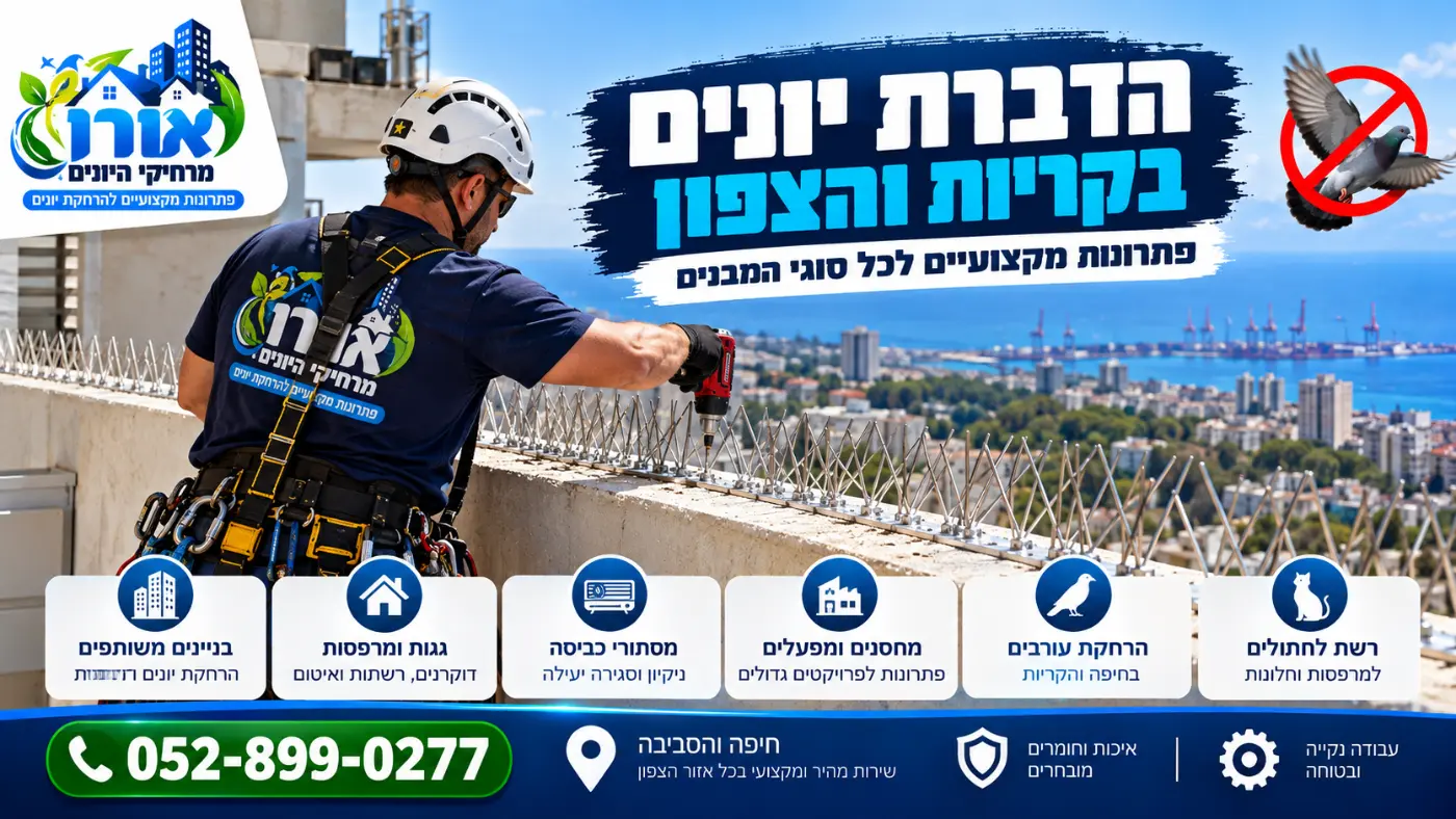 הדברת יונים בקריות והצפון – התקנת דוקרנים נגד יונים על מעקה גג