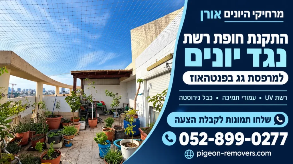 התקנת חופת רשת נגד יונים במרפסת גג בפנטהאוז עם עמודי תמיכה, רשת UV וכבל נירוסטה – מרחיקי היונים אורן