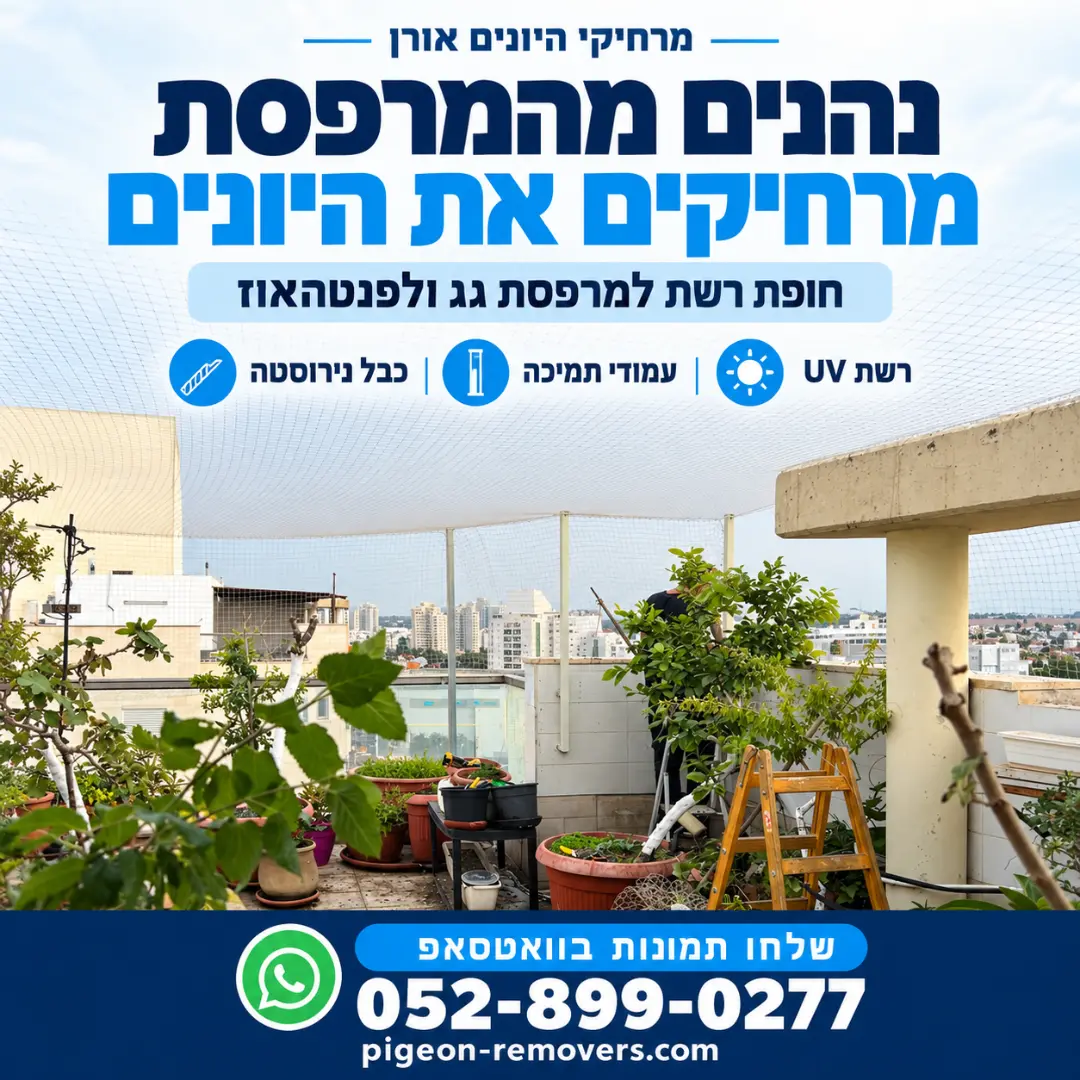 חופת רשת למרפסת גג ולפנטהאוז מעל עציצים – רשת UV ועמודי תמיכה, מרחיקי היונים אורן