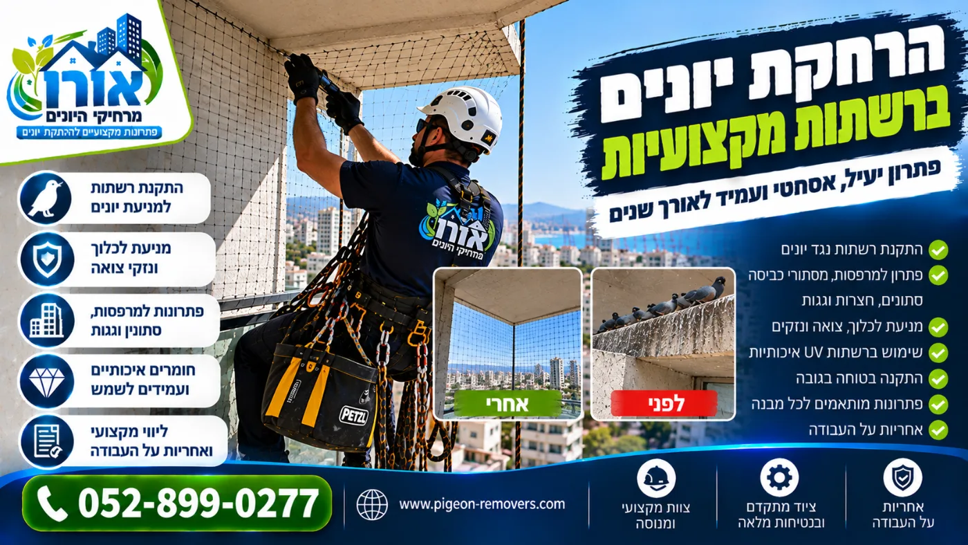הרחקת יונים ברשתות מקצועיות – התקנת רשת בסנפלינג, לפני ואחרי