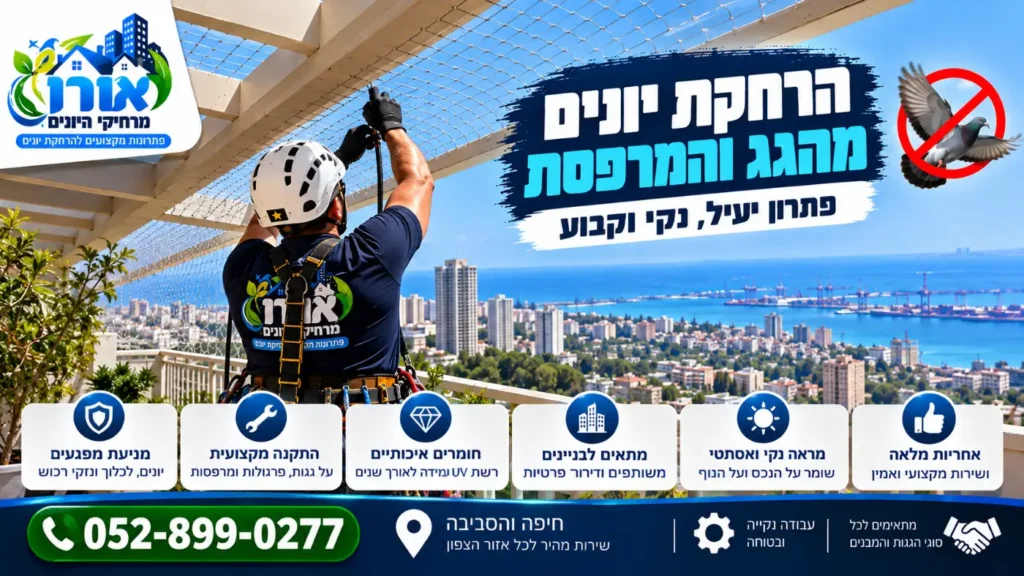 התקנת רשת נגד יונים מתחת לפרגולה במרפסת עם נוף למפרץ חיפה – הרחקת יונים מהגג והמרפסת