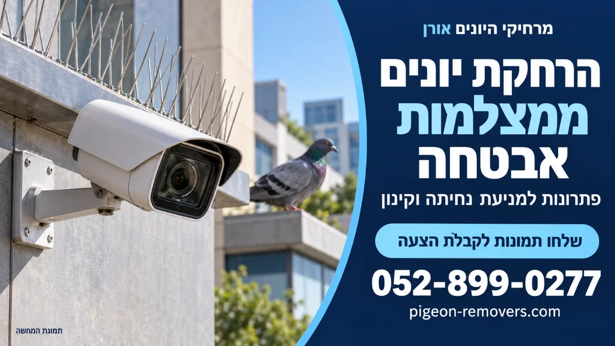 הרחקת יונים ממצלמות אבטחה – דוקרני נירוסטה מעל מצלמה למניעת נחיתה, מרחיקי היונים אורן
