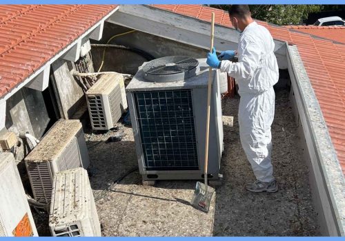 ניקוי גגות מצואת יונים