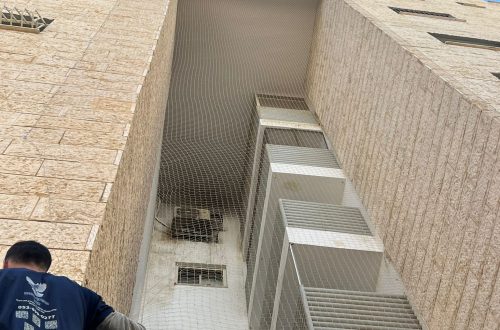 התקנת רשת נגד יונים לבניינים