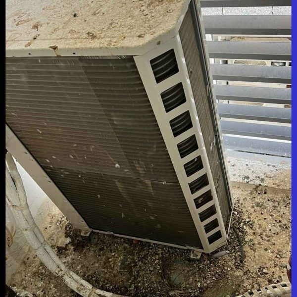 צואת יונים במסתור כביסה בקריות